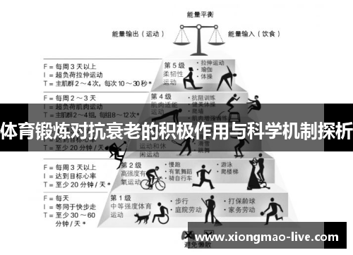 体育锻炼对抗衰老的积极作用与科学机制探析